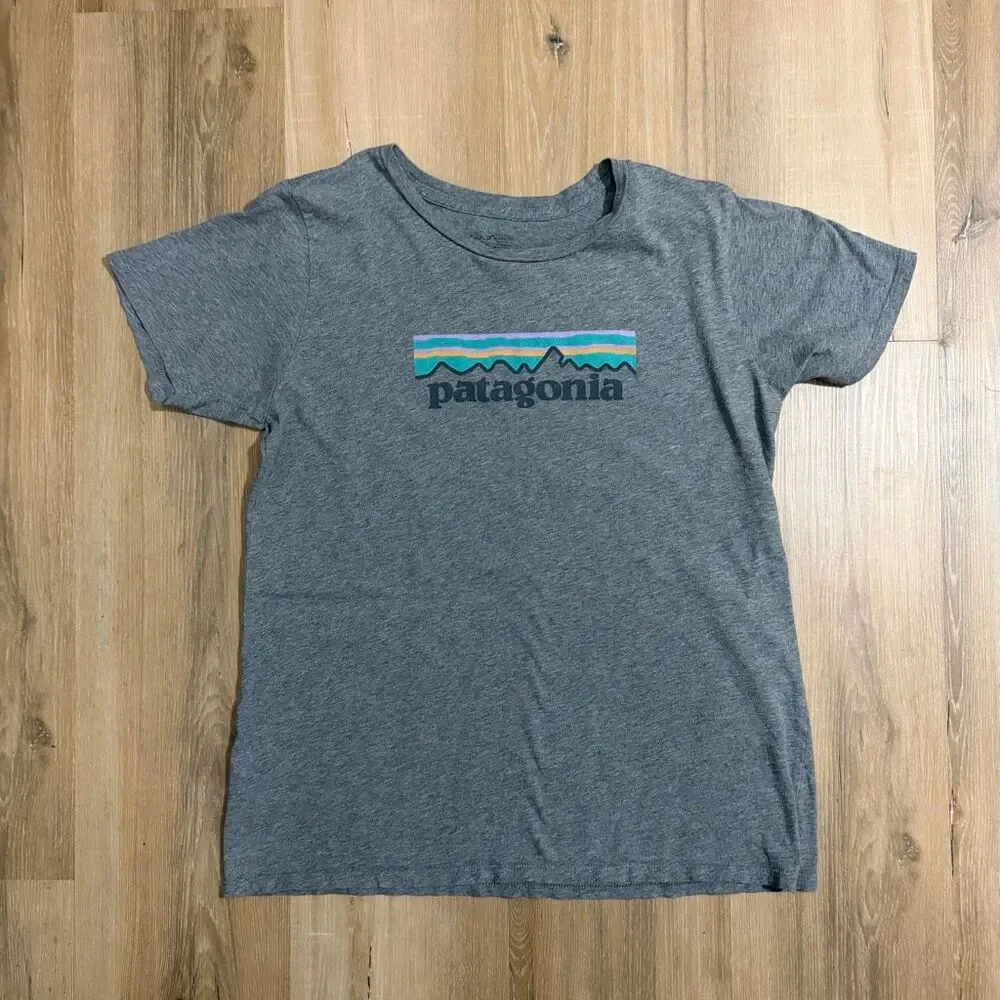 Patagonia Gray T Shirt Size Medium Gorpcore Outdoor Normcore Hiking Outside Eco - Picture 1 of 4
